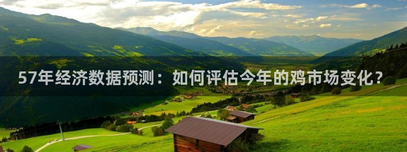 蓝图娱乐集团总部：57年经济数据预测：如何评估今年的鸡市场变化？