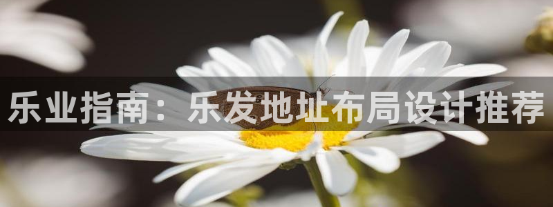 蓝图娱乐网站：乐业指南：乐发地址布局设计推荐