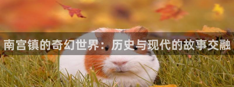 蓝图娱乐平台开户：南宫镇的奇幻世界：历史与现代的故事交融