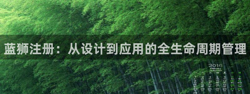 蓝图娱乐电子游戏网页版：蓝狮注册：从设计到应用的全生命周期管理