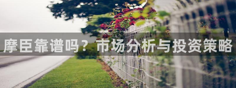 蓝图娱乐体育：摩臣靠谱吗？市场分析与投资策略