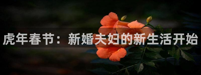 蓝图娱乐网站：虎年春节：新婚夫妇的新生活开始