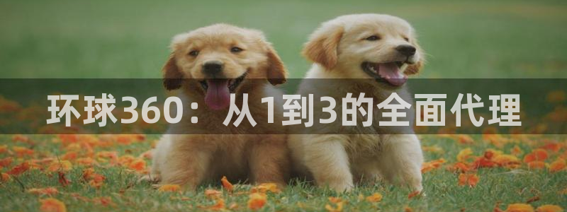 蓝图娱乐注册：环球360：从1到3的全面代理