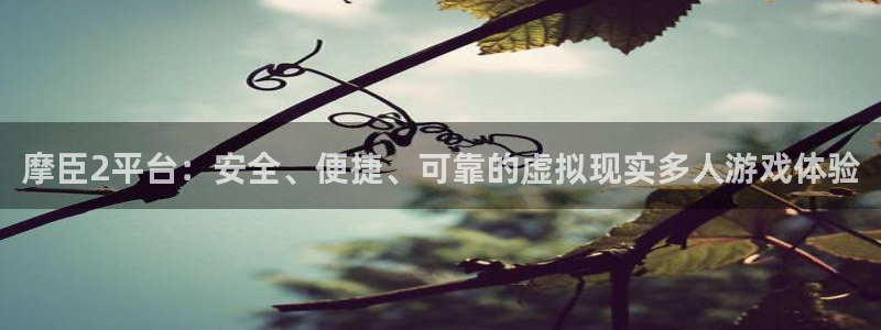 蓝图娱乐是大平台吗：摩臣2平台：安全、便捷、可靠的虚拟现实多人游戏体验