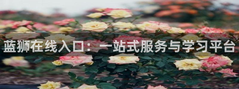 电子游戏蓝图娱乐：蓝狮在线入口：一站式服务与学习平台