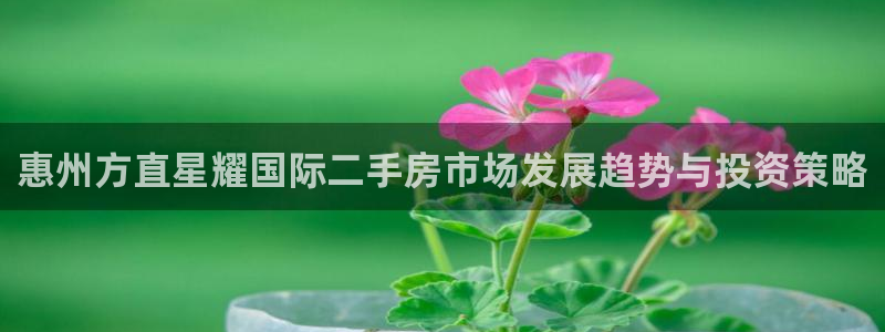 蓝图娱乐麻将胡了：惠州方直星耀国际二手房市场发展趋势与投资策略