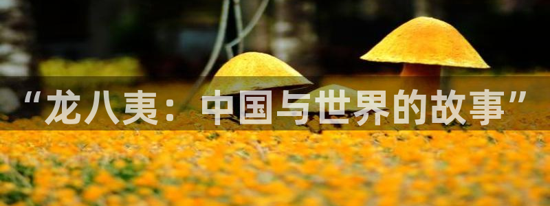 蓝图娱乐平台注册：“龙八夷：中国与世界的故事”
