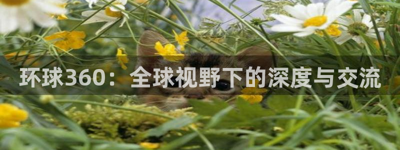 蓝图娱乐体育凯捷平台注册：环球360：全球视野下的深度与交流