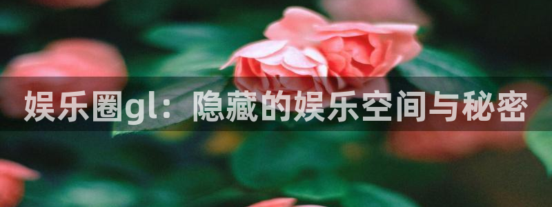 蓝图娱乐平台登录：娱乐圈gl：隐藏的娱乐空间与秘密