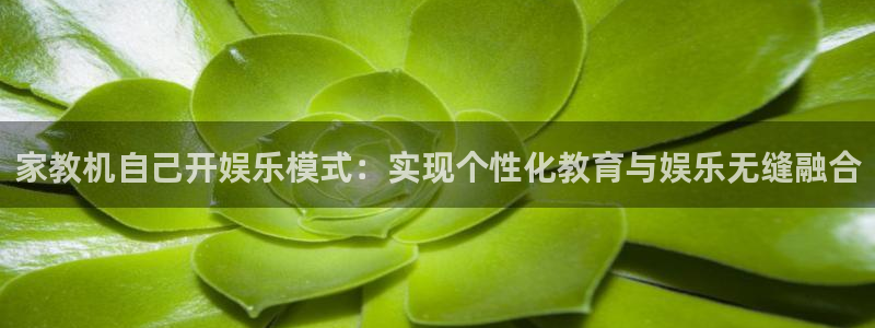 蓝图娱乐f平台注册：家教机自己开娱乐模式：实现个性化教育与娱乐无缝融合