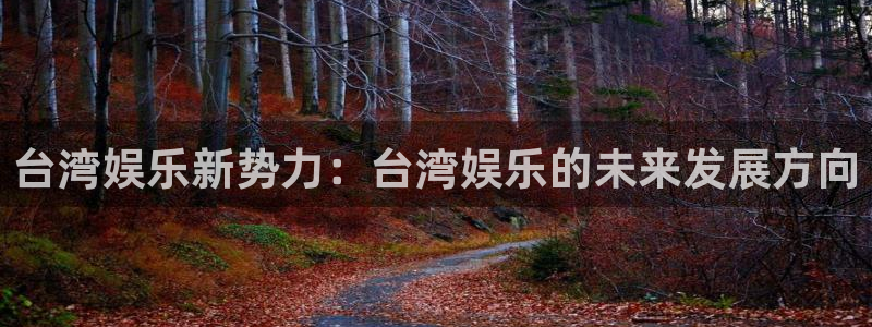 蓝图娱乐体育官网入口登录：台湾娱乐新势力：台湾娱乐的未来发展方向
