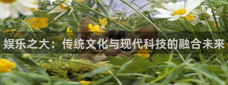 蓝图娱乐体育凯捷平台注册：娱乐之大：传统文化与现代科技的融合未来