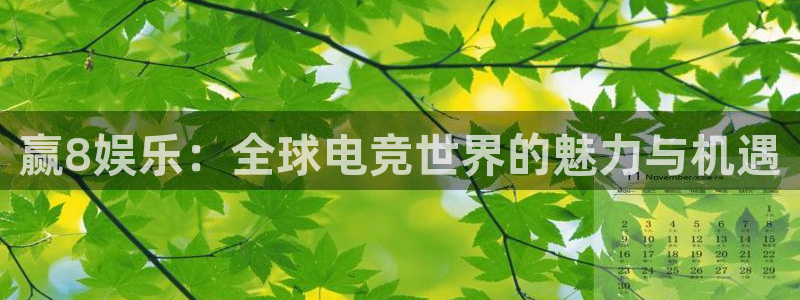 蓝图娱乐4代理：赢8娱乐：全球电竞世界的魅力与机遇
