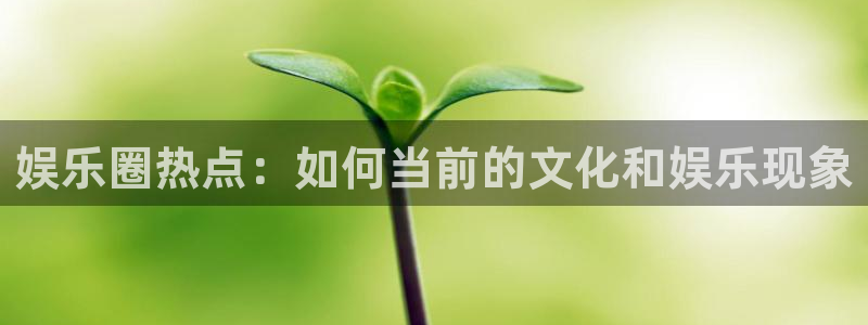 蓝图娱乐4平台：娱乐圈热点：如何当前的文化和娱乐现象
