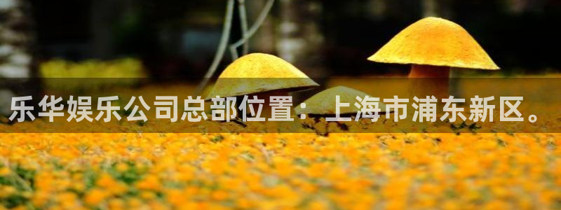 蓝图娱乐平台开户：乐华娱乐公司总部位置：上海市浦东新区。