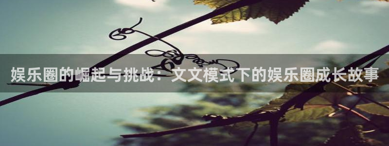 蓝图娱乐quan28.cc：娱乐圈的崛起与挑战：文文模式下的娱乐圈成长故事