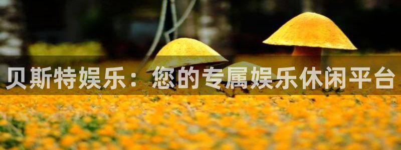 蓝图娱乐体育注册代理：贝斯特娱乐：您的专属娱乐休闲平台