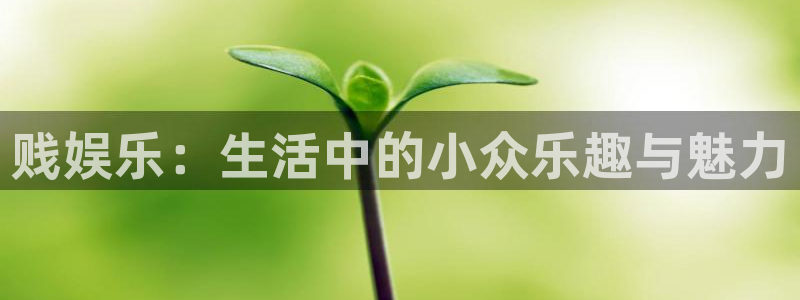 蓝图娱乐注册登录入口：贱娱乐：生活中的小众乐趣与魅力
